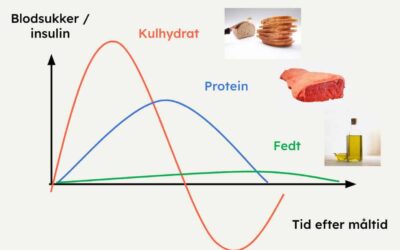 Fedt og diabetes – hemmeligheden til et lavt, stabilt blodsukker
