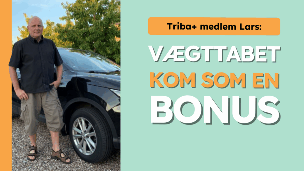 Når viden ikke er nok – derfor lykkes du først, når planen passer til ...